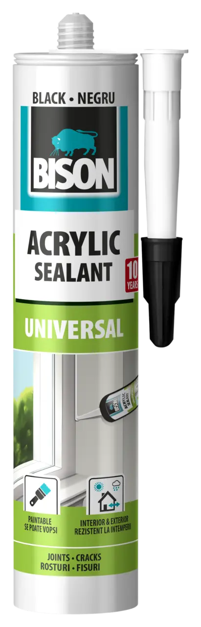 6314660-Article-pack-shot-front-straight-en-264-Bison-300ml-ENBGCZHUROSK-ACRYLUNIVERSALBLACK