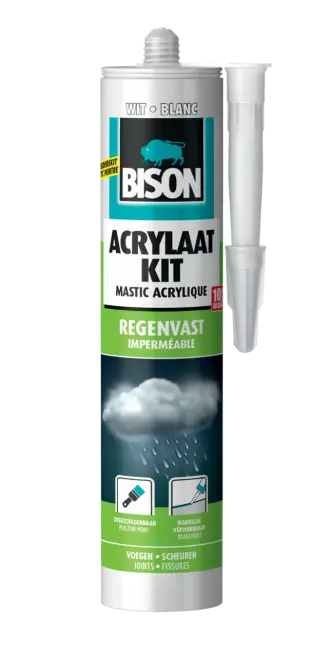 Sikacryl Mastic Acrylique Spécial Fissures Pour Finitions Et Joints En