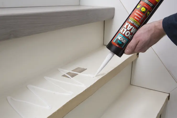 6308389-Article-application-shot-en-320-Bison-NL-FR-PolyMaxOriginalExpress_313